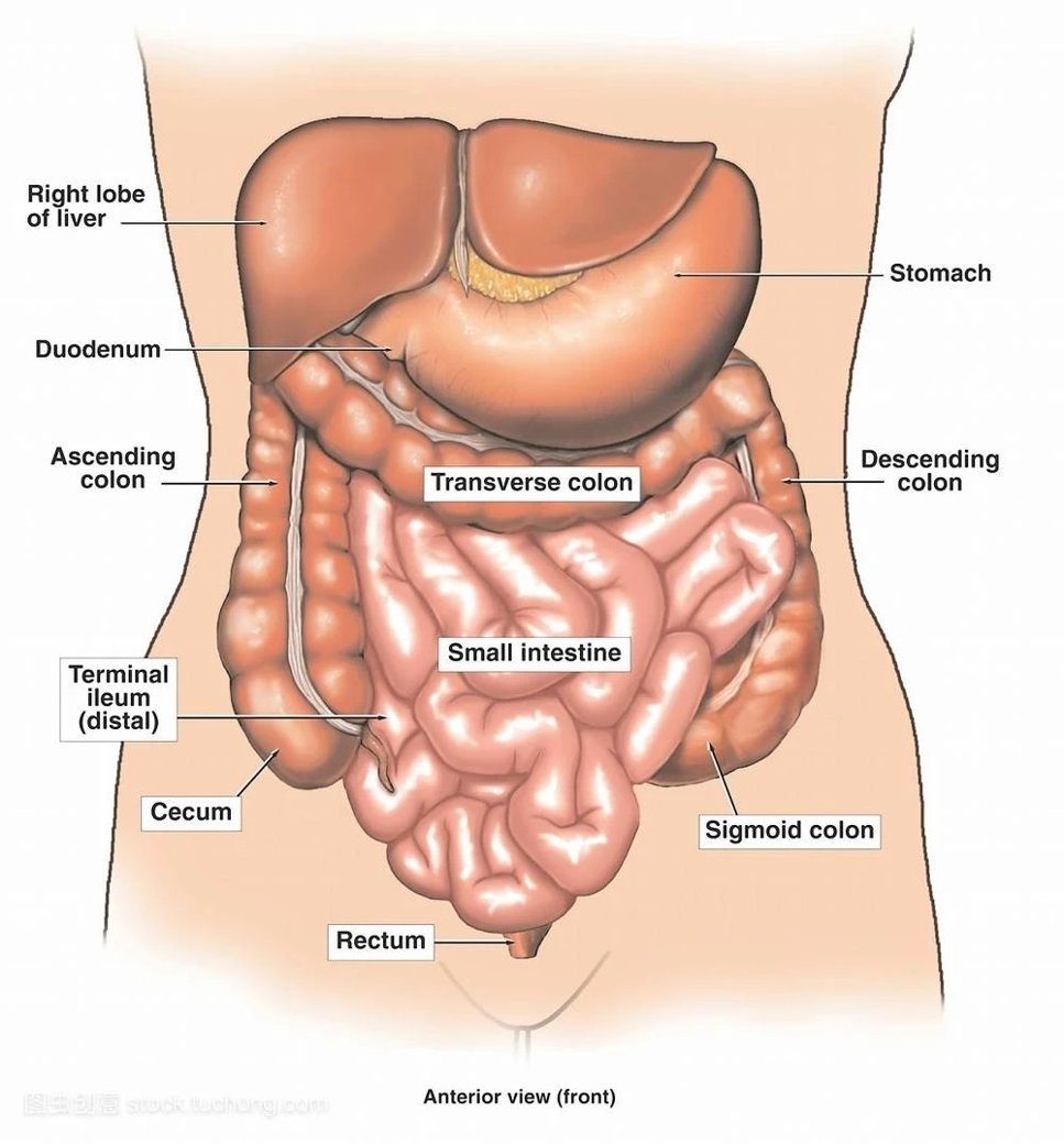 where-to-get-a-colonic-done-near-me-colonic-machine-home-colonic